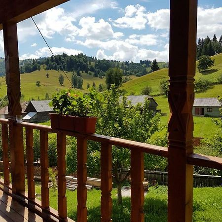 Csengettyűvirág Hotel Ghimeş-Făget Kültér fotó