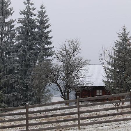 Csengettyűvirág Hotel Ghimeş-Făget Kültér fotó