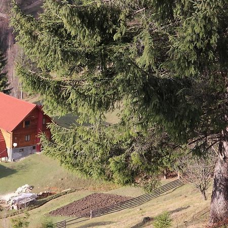 Csengettyűvirág Hotel Ghimeş-Făget Kültér fotó