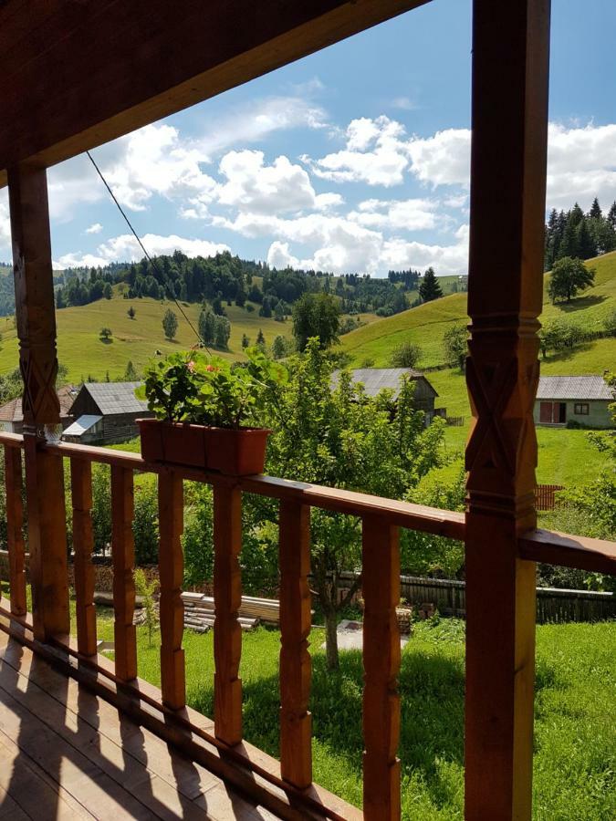 Csengettyűvirág Hotel Ghimeş-Făget Kültér fotó