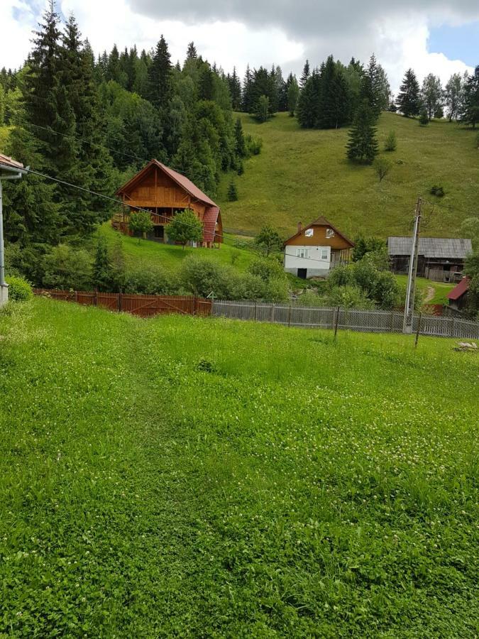 Csengettyűvirág Hotel Ghimeş-Făget Kültér fotó