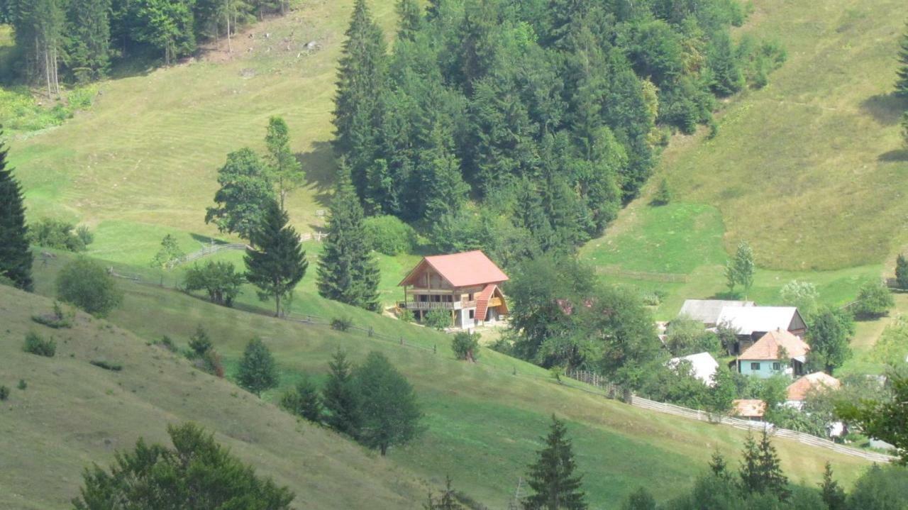 Csengettyűvirág Hotel Ghimeş-Făget Kültér fotó