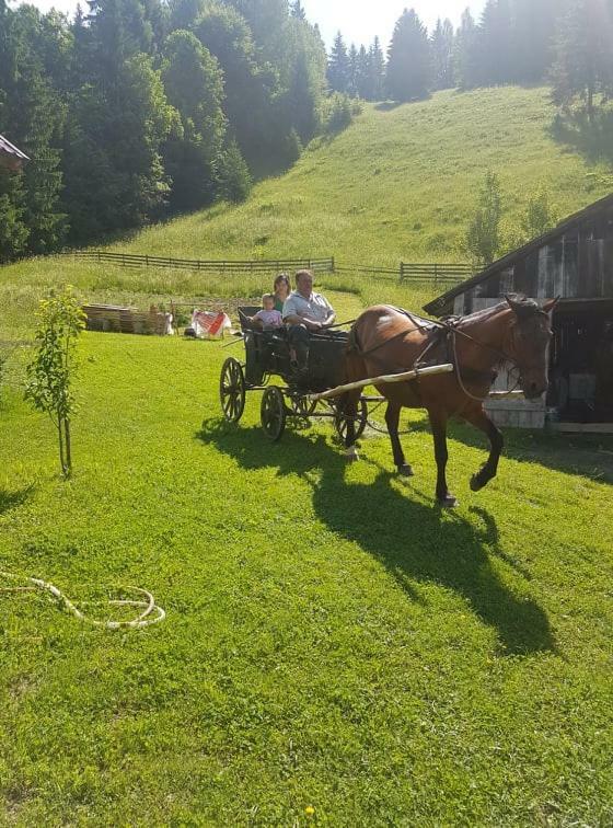 Csengettyűvirág Hotel Ghimeş-Făget Kültér fotó