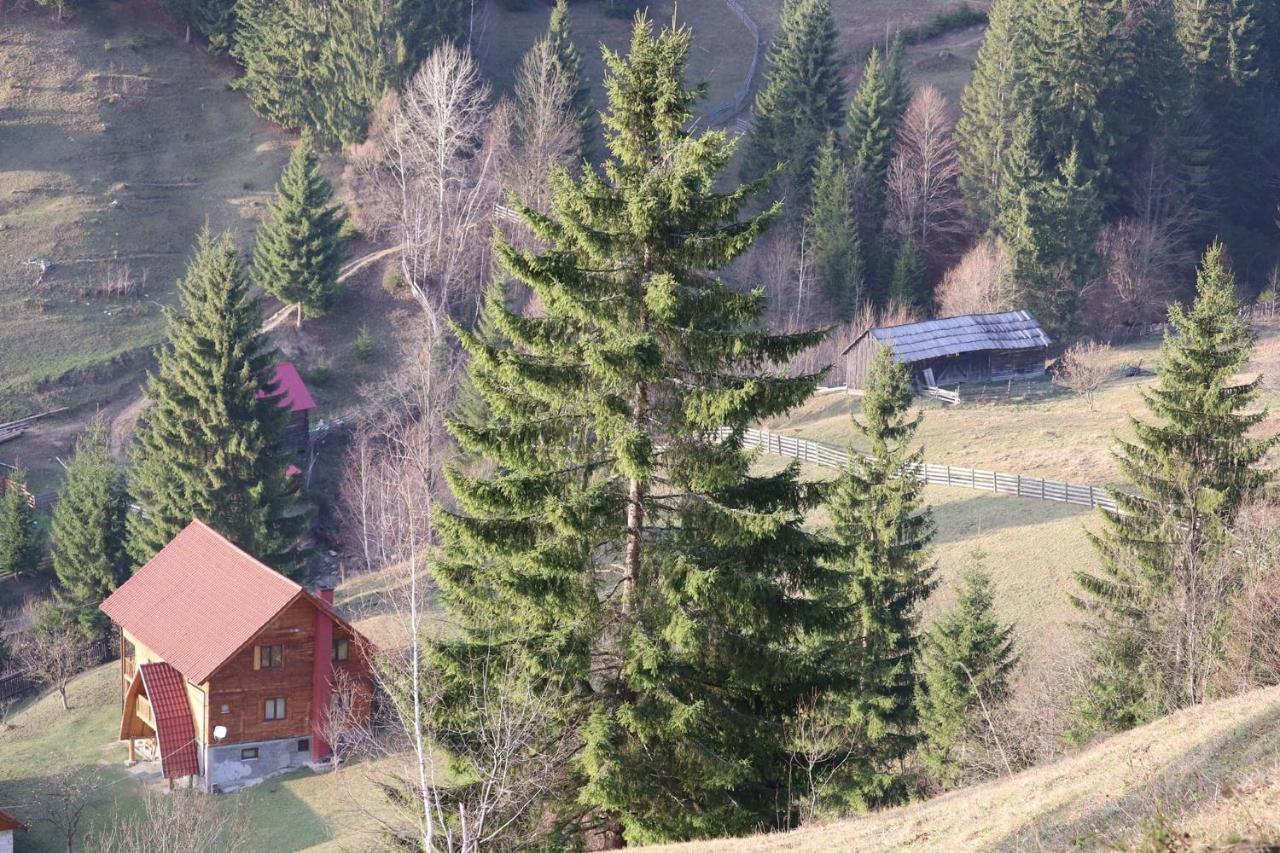 Csengettyűvirág Hotel Ghimeş-Făget Kültér fotó