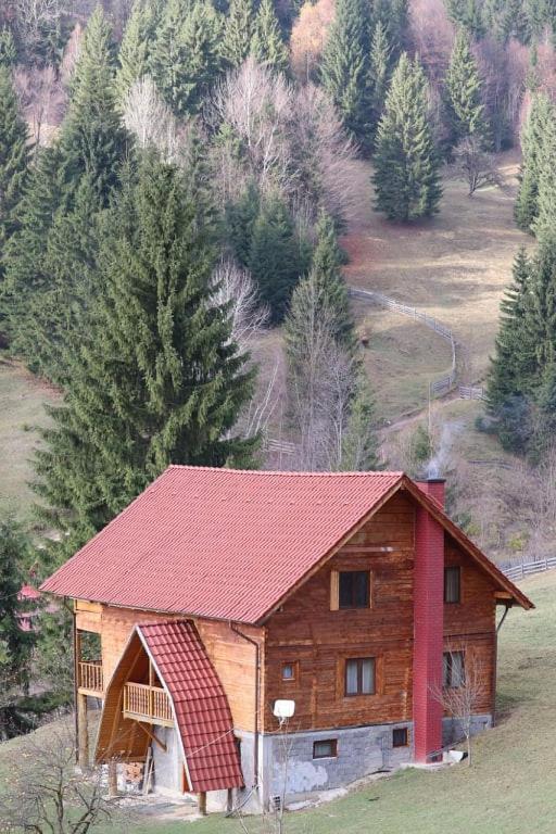 Csengettyűvirág Hotel Ghimeş-Făget Kültér fotó