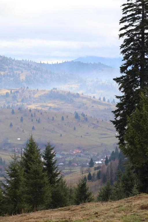 Csengettyűvirág Hotel Ghimeş-Făget Kültér fotó